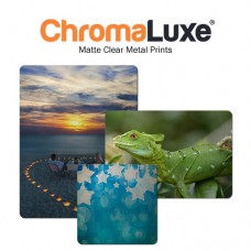 Chromaluxe 4013 Matte Clear Aluminum Photo Panel 11x14"